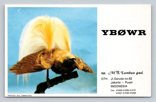 Ham radio qsl jy9rc - jy9rc, indonesia